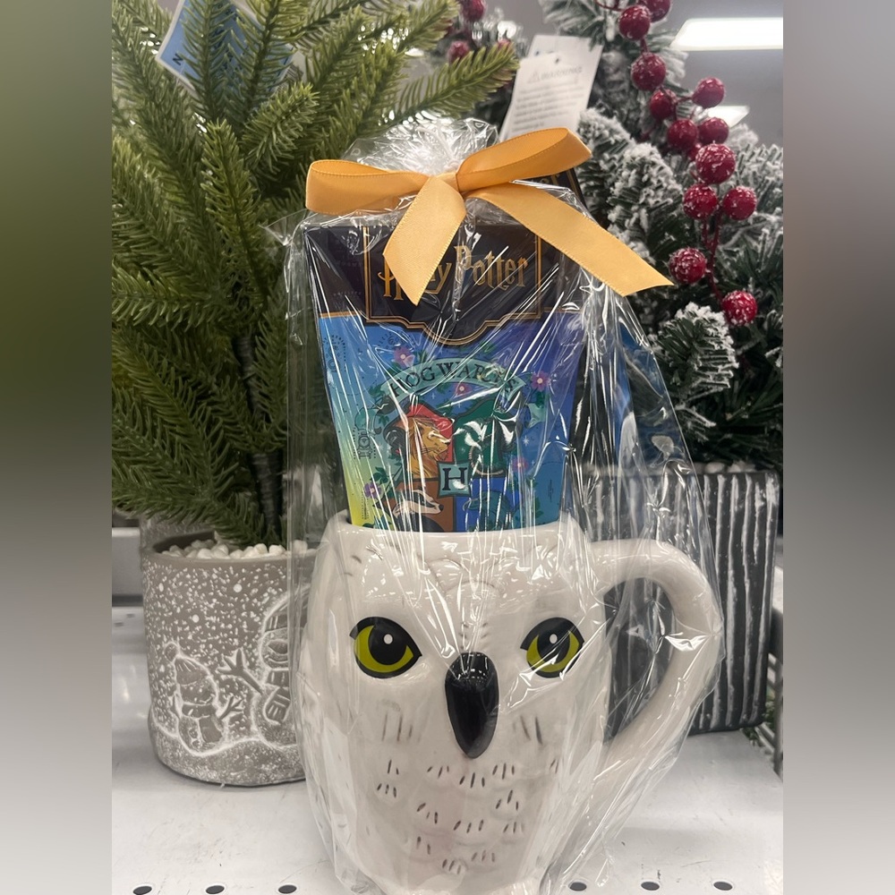 Harry Potter gift set cup and hot chocolate